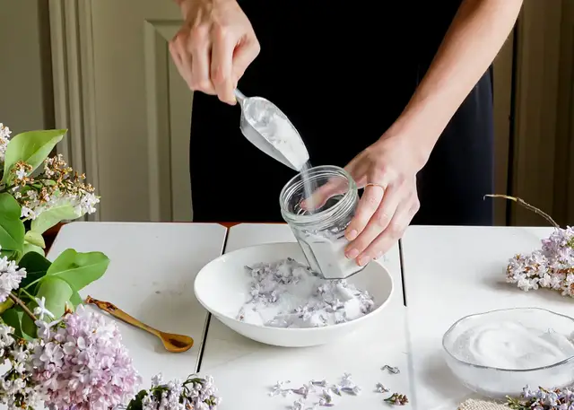 Video thumbnail for Lilac Sugar