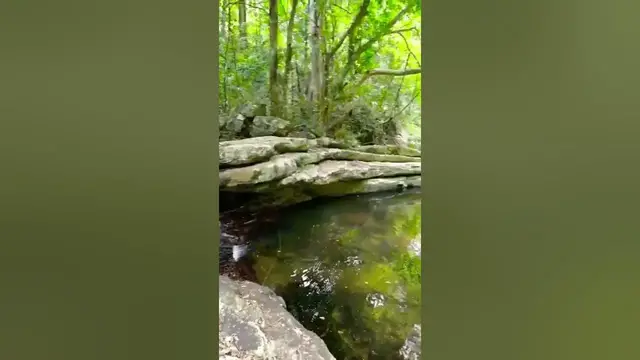 'Video thumbnail for Natural Pool in Knuckles Mountain Range Sri Lanka'
