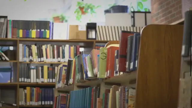 Video thumbnail for What is a biography?