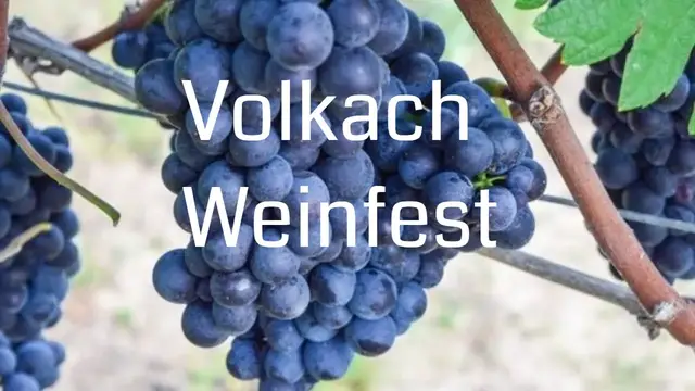 Video thumbnail for Weinfest Volkach - der Saft der ersten Trauben