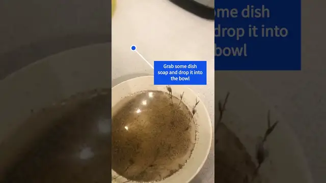 'Video thumbnail for How to Teach Kids to Wash Their Hands With the Pepper Trick'
