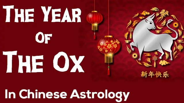 Video thumbnail for The Year Of The Ox - Chinese Astrology - Chinese New Year 2021