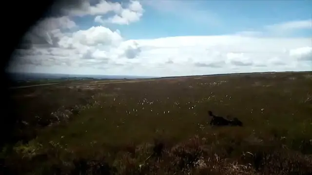 Video thumbnail for Grouse hunters - the gang go looking