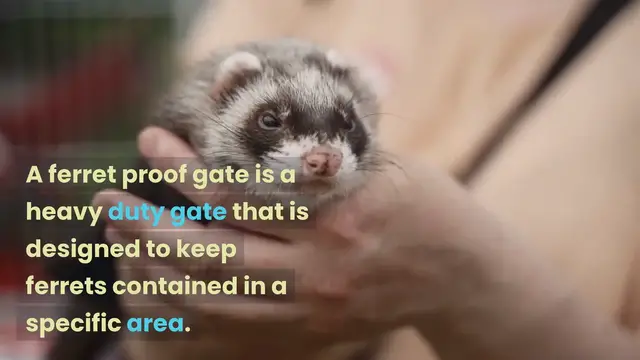 Video thumbnail for Gates For Ferrets - What To Look For