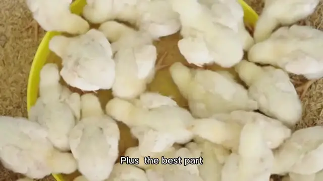 'Video thumbnail for One-Pan Coconut-Lime Chicken'