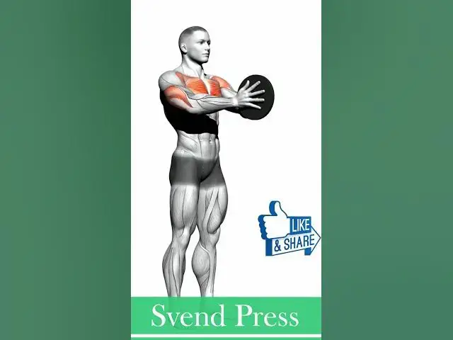 Video thumbnail for Svend Press: How To Do, Muscles Worked