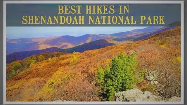 Video thumbnail for 10 Best Hikes In Shenandoah National Park