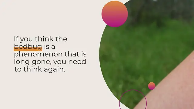 Video thumbnail for BedBugs Danger – Are you Safe from Bedbugs?