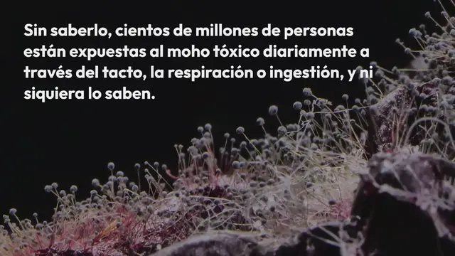 Video thumbnail for 14 signos de advertencia intoxicación por moho