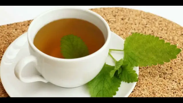 Video thumbnail for Lemon Balm Tea, Superb 4 Things That You Should Know!
