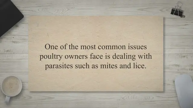 Video thumbnail for How to Prevent and Treat Mites and Lice in Chickens