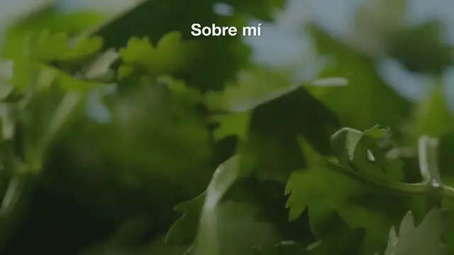 Video thumbnail for Locos con salsa verde