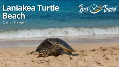 'Video thumbnail for Laniakea Turtle Beach - Watch Basking Turtles in Oahu Hawaii'