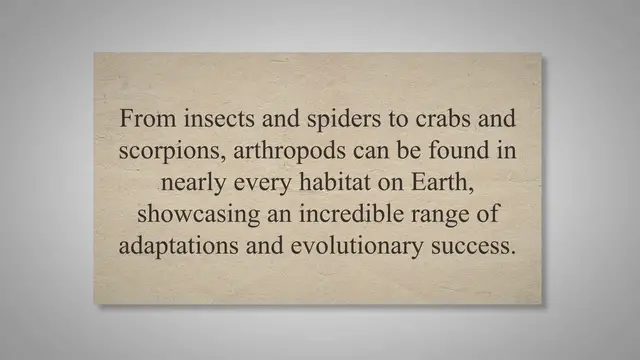 Video thumbnail for Arthropods and their vast biodiversity