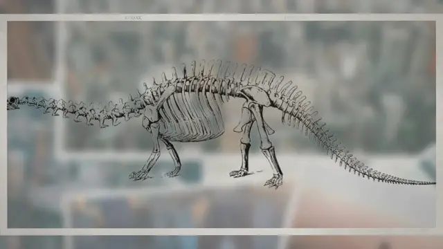 Video thumbnail for What Kind of Fossils Can Tell Scientists What Dinosaurs Ate?