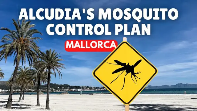 'Video thumbnail for MALLORCA NEWS EXCLUSIVE: Mosquito Update, Alcudia'
