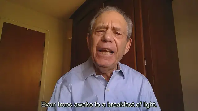 Video thumbnail for Even Trees Awake to a Breakfast of Light