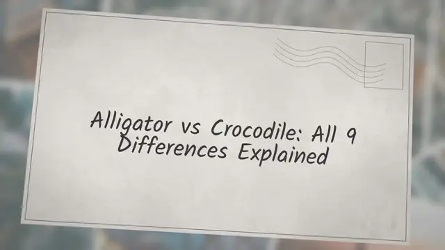 Video thumbnail for Alligator vs Crocodile: All 9 Differences Explained