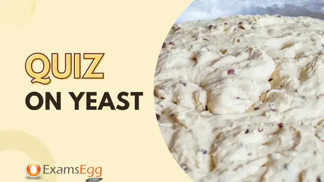 Video thumbnail for Quiz on Yeast (Food Science) | Examsegg