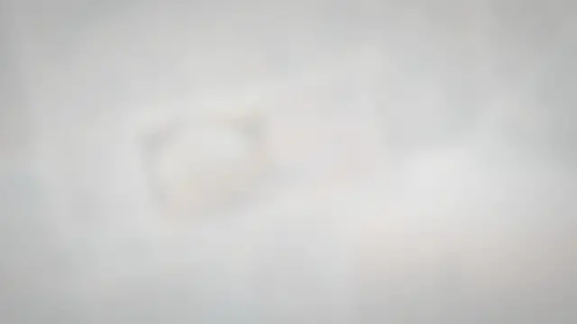 Video thumbnail for What Plant Does Chocolate Come From?