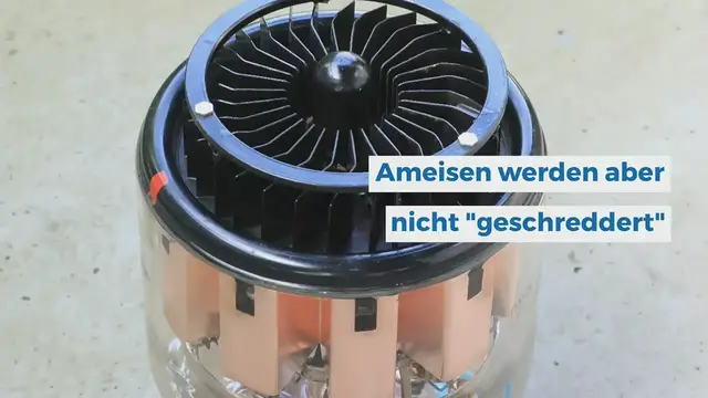 'Video thumbnail for Ameisen im Staubsauger'