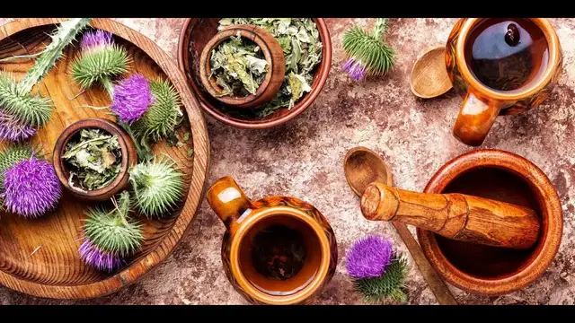 Video thumbnail for Milk Thistle Tea, Superb 8 Facts About This Beverage