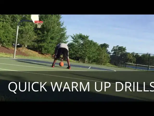 Video thumbnail for Air Jordan 12 Flu Game On Court Testing and Review/Observations
