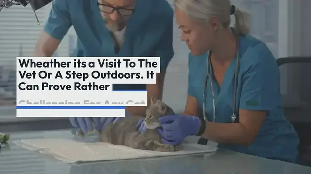 Video thumbnail for why cats hate outside
