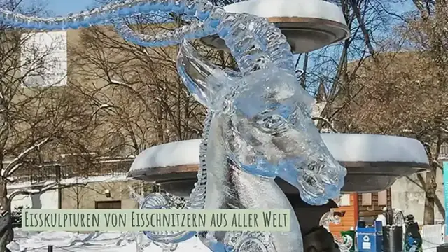 Video thumbnail for Eisskulpturen beim Winterlude Ottawa – Kunstwerke aus Eis