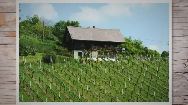 Video thumbnail for Weinregionen entdecken