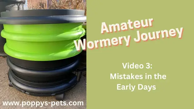 Video thumbnail for Video 3: Composting Wormery Mistakes - Learn From My Errors  With the Ferme Du Moutta WormBox