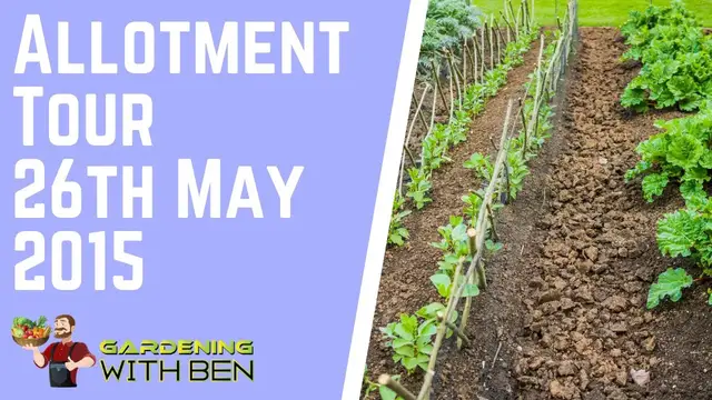 'Video thumbnail for ✅ May 26th Allotment Tour | Exploring Garden Growth & Spring Progress 2015 🌿🌼'