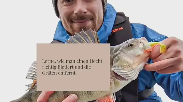 Video thumbnail for Anleitung: Hecht grätenfrei filetieren