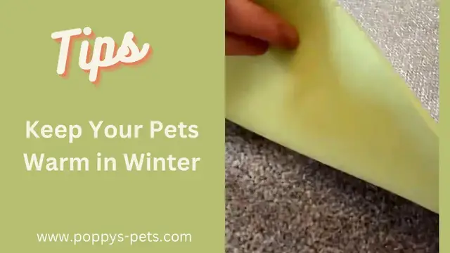 Video thumbnail for Under £5: Cheap Way to Insulate Your Cat Dog Mat Bed House Indoors Outdoors or Camping
