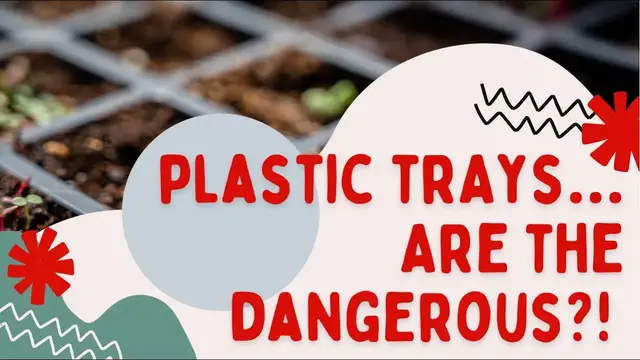 Video thumbnail for Do Plastic Trays Leach Plastic Into Our Soil & Eventually Our Plants? Seed Starting In Canada