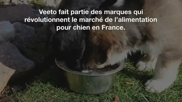 Video thumbnail for Croquettes Veeto pour chien : avis, présentation et gammes