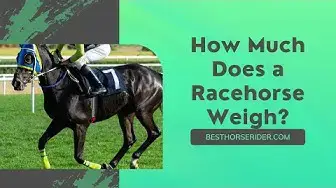 Video thumbnail for How Much Does a Racehorse Weigh?