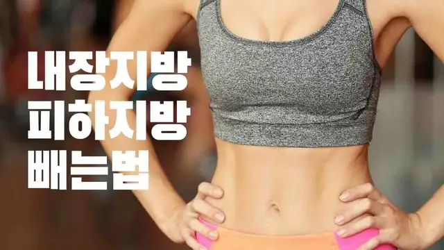 Video thumbnail for 내장지방 피하지방 빼는법 20가지