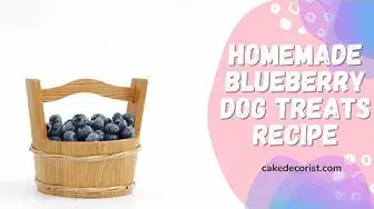Video thumbnail for Homemade Blueberry Dog Treats Recipe