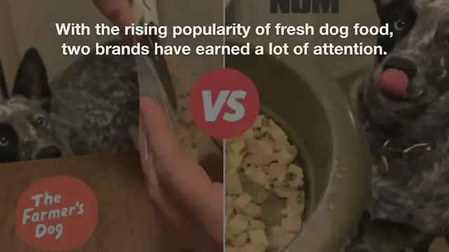 Video thumbnail for Nom Nom vs The Farmer’s Dog : We Tried Them Both, Here’s Our Breakdown