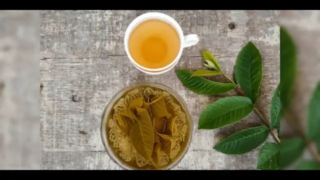 Video thumbnail for Guava Leaf Tea, Amazing 7 Benefits of This Beverage