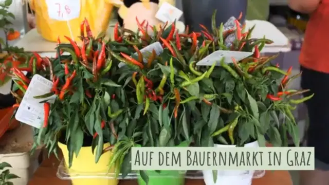 Video thumbnail for Auf dem Bauernmarkt Lendplatz in Graz