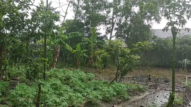'Video thumbnail for Lagi dibelakang rumah malah hujan'