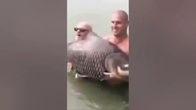 Video thumbnail for How to (not) hold a fish #shorts #failvideo #fishing