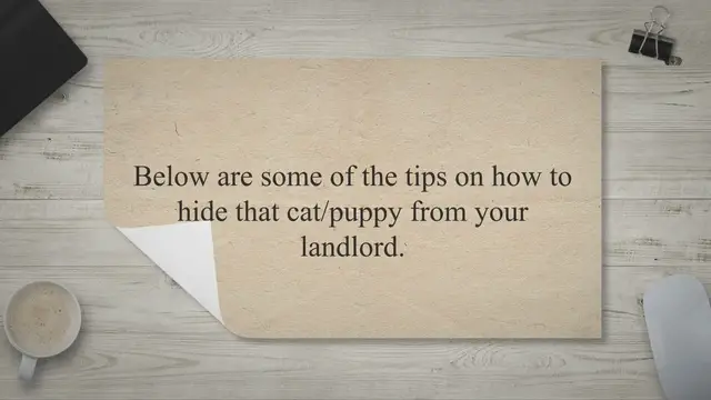 'Video thumbnail for How To Hide A Pet From The Landlord: Full Guide'