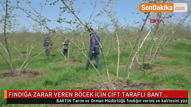 'Video thumbnail for Kozalak Akarına Karşı Yeni Teknik: Çift Taraflı Bant'
