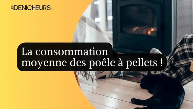 Video thumbnail for 🔥 Poêle à pellets : quelle consommation pour une maison de 100 m² ?