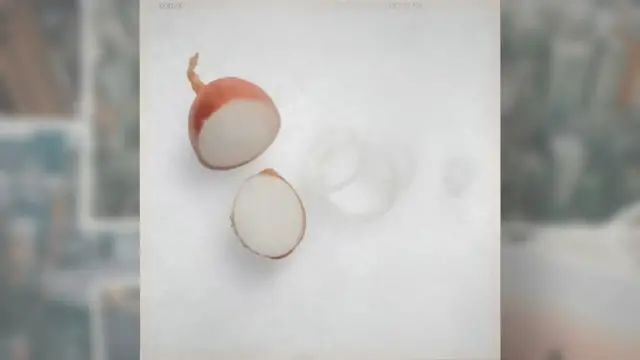 Video thumbnail for My Dog Ate A Small Piece of Onion
