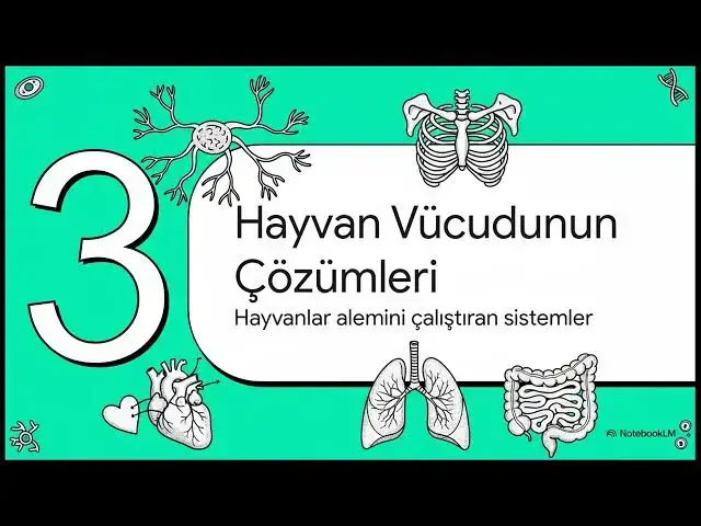 Video thumbnail for TAR131U Genel Biyoloji 2024-2025 Final Soruları