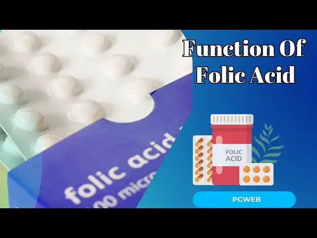 Video thumbnail for Understanding the Function of Folic Acid in Health